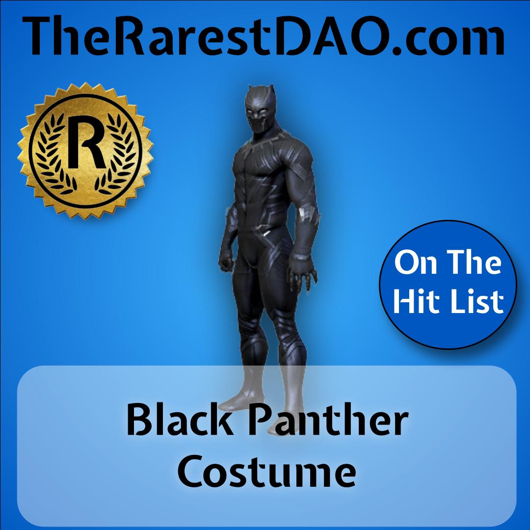 Black Panther Costume